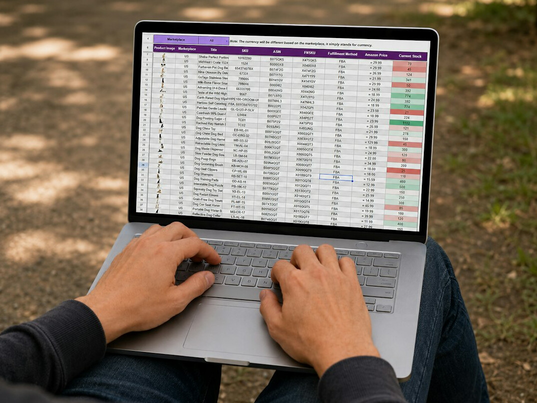 person checking budget on laptop